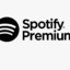 Spotify Premium 12 Months Indv