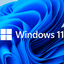 Windows 10/11 Pro🌎Retail online warranty