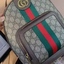 Imported Premium Designer Generic Backpack Fr