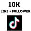 10K Tiktok Follower with 10K tiktok Like