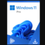 Microsoft Windows 11 Pro OEM (PC) - GLOBAL