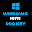 Microsoft Windows 10/11 Pro (license key)