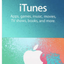 iTunes 250 TL - Apple 250 TL (Stockable)
