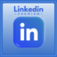 LinkedIn Premium Career - 12 Months