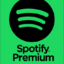 Spotify Premium Yearly (12M) 1 Account Egypt