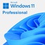 Microsoft Windows 11 Pro - License key