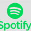 Spotify 12 Month Premium Family 6 accounts