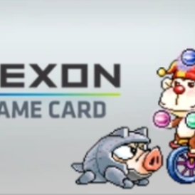 Nexon Game Card USD 25 (Global)