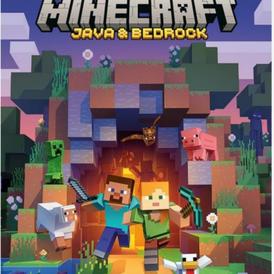 Minecraft Java & Bedrock Edition - GLOBAL VPN