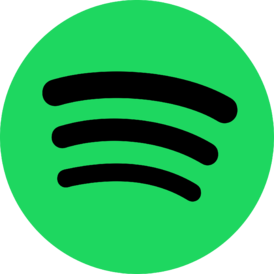 Spotify Individual 12 months India