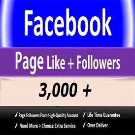 3000 Facebook Like follower  Good Quality