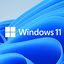 Windows 11 Professional OEM Key