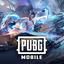 Pubg Mobile 325 UC Global Pin Code