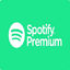 Spotify India -12 Months Gift card(Stockable)