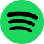 Spotify Individual 12 months India