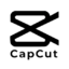 CapCut lifetime subscription