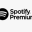 Spotify Premium 6 months