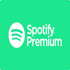 Spotify India -12 Months Gift card(Stockable)
