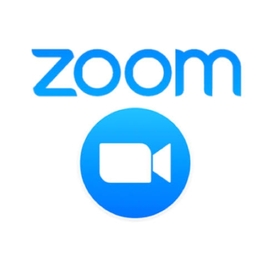 Zoom Pro 1YR