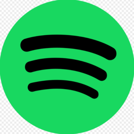 Spotify Premium - 12M at Rs 699 (India)