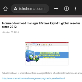 Internet download manager lifetime license