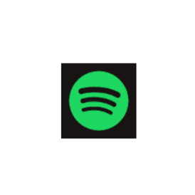 🎵SPOTIFY PREMIUM 1 MONTH🎵PERSONAL SUBSCRIPT