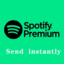 Spotify Premium 12 mounths (Individual)