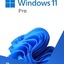 Windows 10 - 11 Pro 1PC Online Private Key