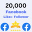 20,000 Facebook page Like + Follower Real