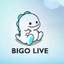 Bigo Live ♥️ 5$ 240 diamond PIN ( Stockable)