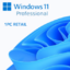 Windows 11 Pro 1PC (Retail Online)