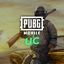 PUBG 10 UC Codes Storable