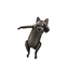 Roblox Shoulder Raccoon (DLC) Key/code GLOBAL