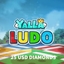 Yalla Ludo 25$ Dimonds 13580 (Storable)