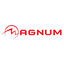 ⭐️MAGNUM IPTV (PLATINUM ott) 1 month