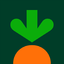 Instacart 250 USD | USA