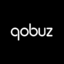 ✅ Qobuz Premium 🔥 12 Months Warranty ✅