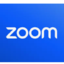 Zoom Pro 1 Month Private Account