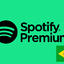 Spotify Brazil - 1 Month Code brl (Stockable)
