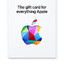 Apple iTunes 100 TRY (TL) - Stockable