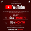 Youtube premium account 1 month