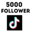 5,000 Tiktok Follower Real Active