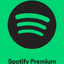 Spotify  6-Month Individual Account Upgrade