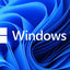 Windows 10 & 11 pro (license key)