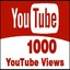 1000 Youtbe Video Views & 500 Like