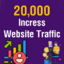 20K Website Traffic Your (Targeted) Country