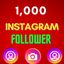 1000 Instagram Follower Fast Delivery
