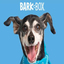 BarkBox 1 Month Gift $35