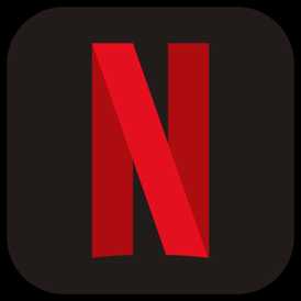 NETFLIX 25$ USA Gift Card 25USD $25 Stockable