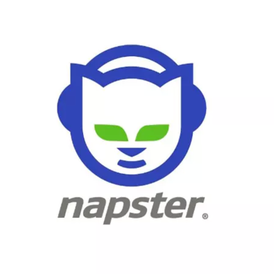 ✅ Napster Premium 🔥 12 Months Warranty ✅